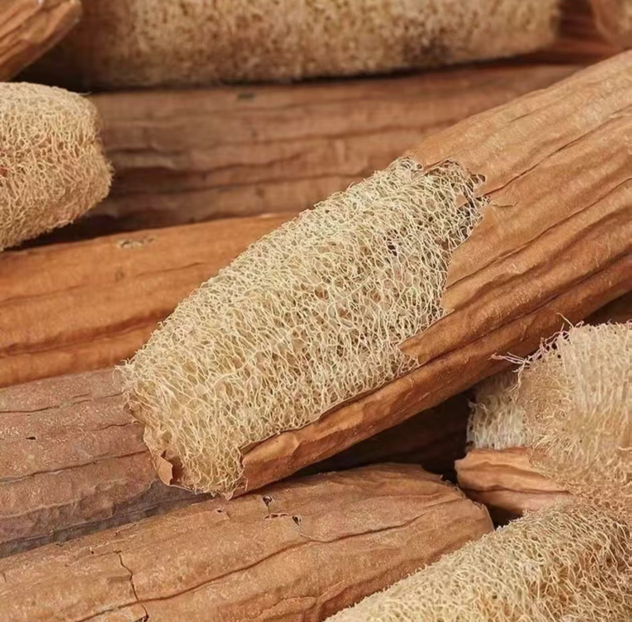 natural loofah sponge