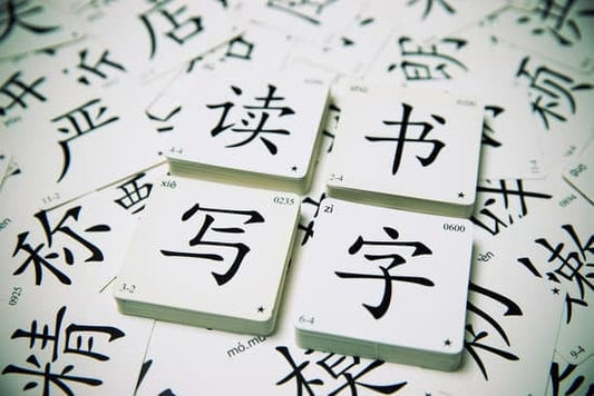 Why Learn and Understand Chinese Characters?