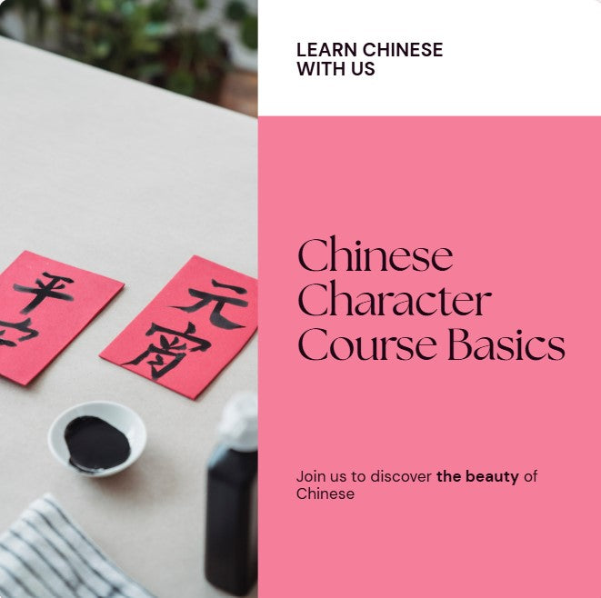 Chinese Character Course for Beginners: Speak, Read & Write with Confidence