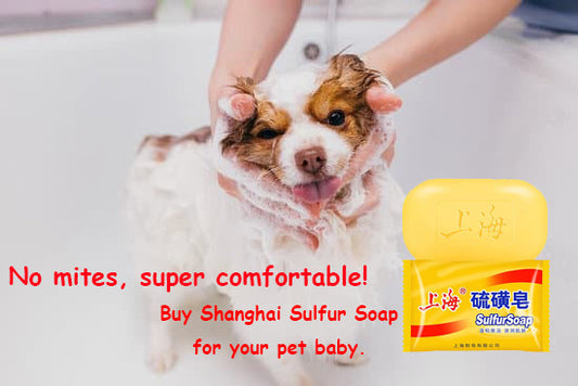 Sulfur soap for dogs