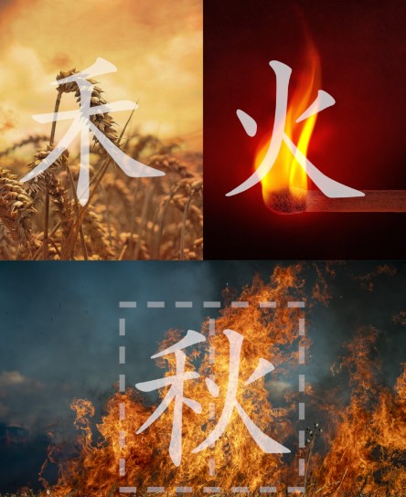 Learn how to write Chinese character | Ivymandarin