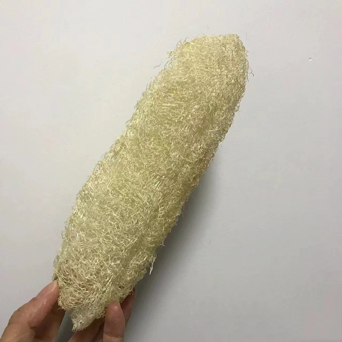 Loofah sponge kitchen uses