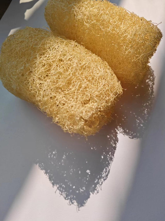 Loofah sponge uses | the Nice Bazaar