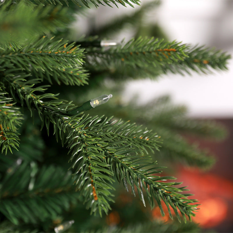 Christmas tree twigs