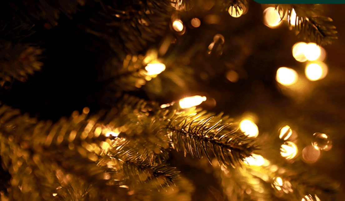 christmas tree with warm white lighting